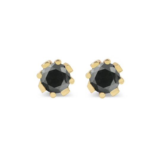 Anne Studs • Black Diamond • 14K Yellow Gold