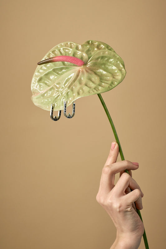 Wray Earrings • Silver • Black/Brass